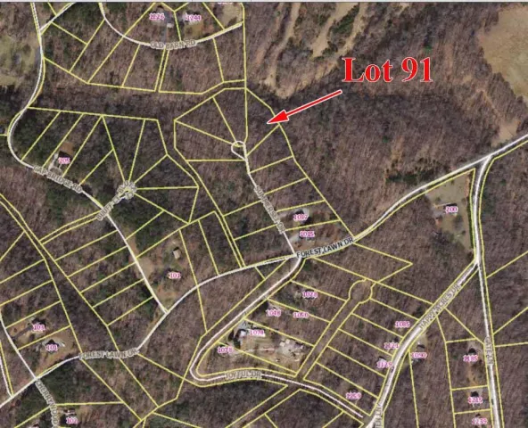 Lot 91 Summerset DR, Moneta, VA, 24121