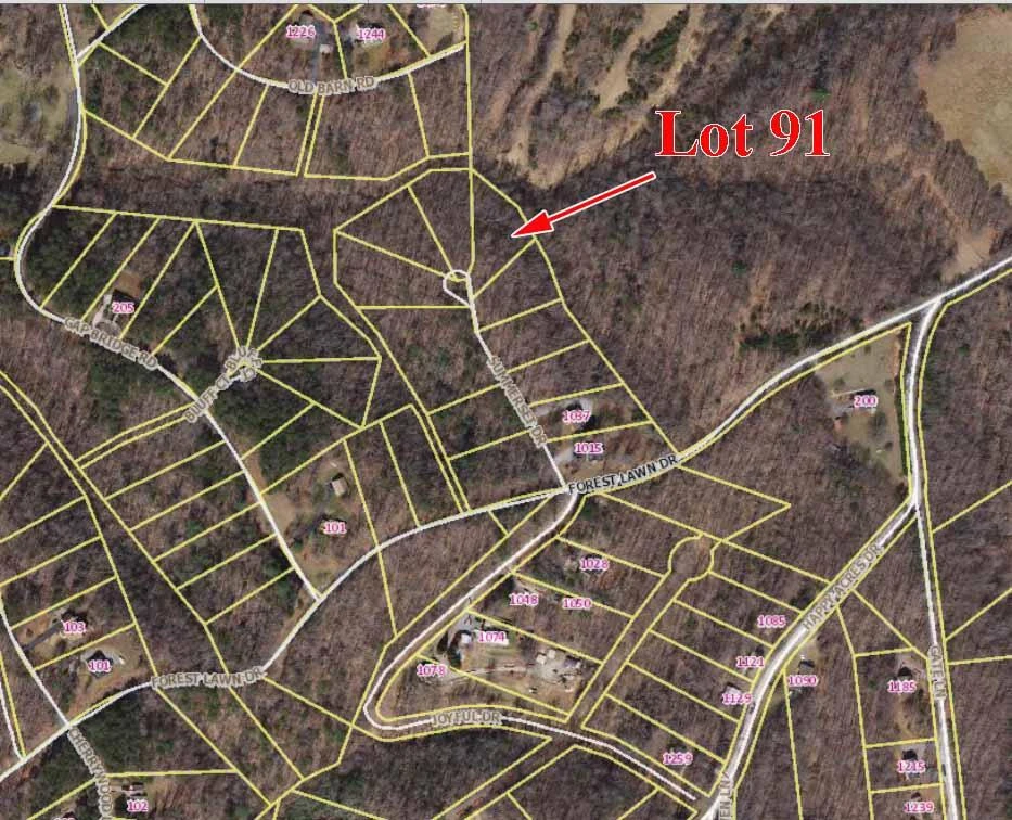 Lot 91 Summerset DR