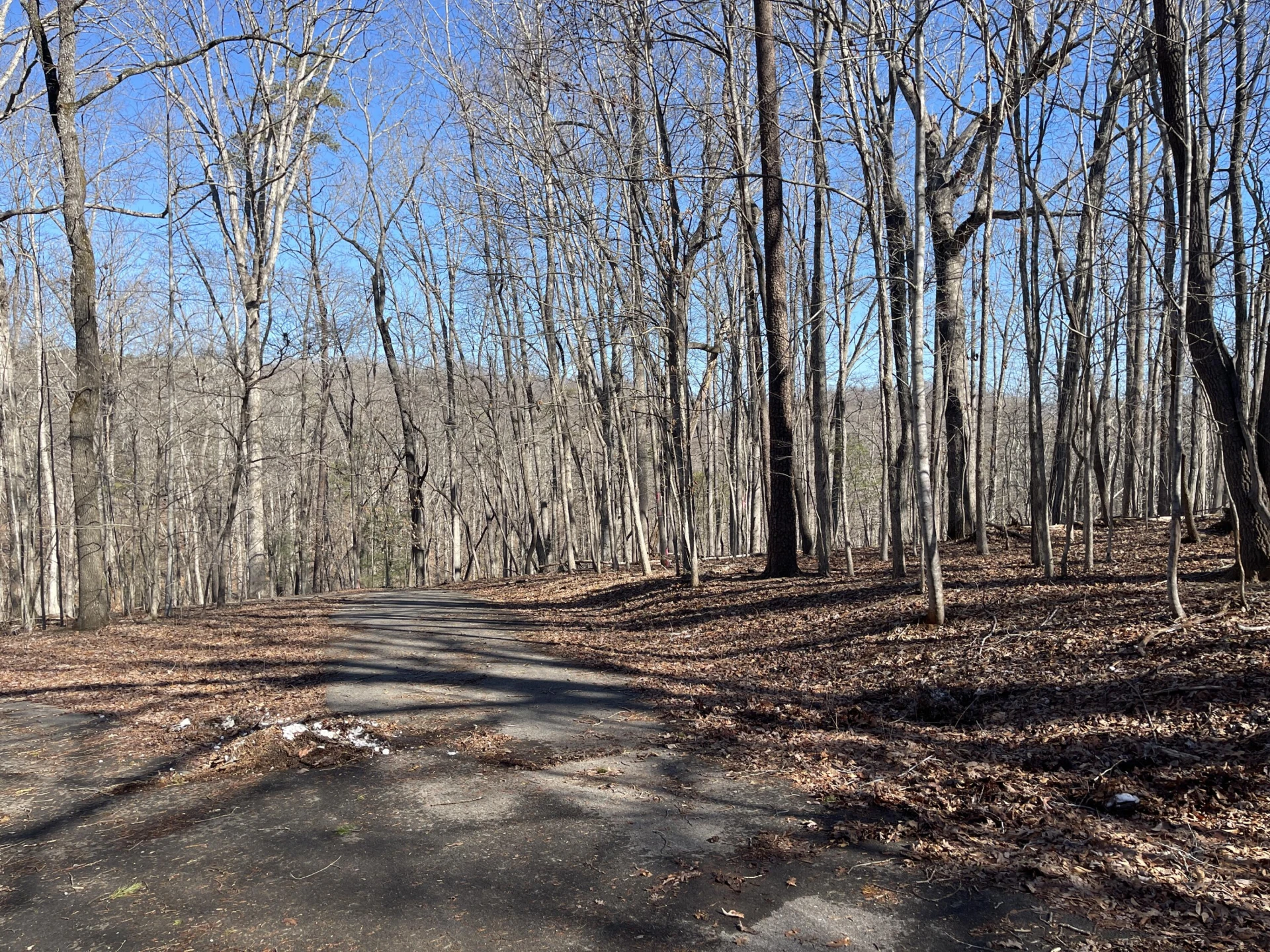 Lot 91 Summerset DR - Photo 3