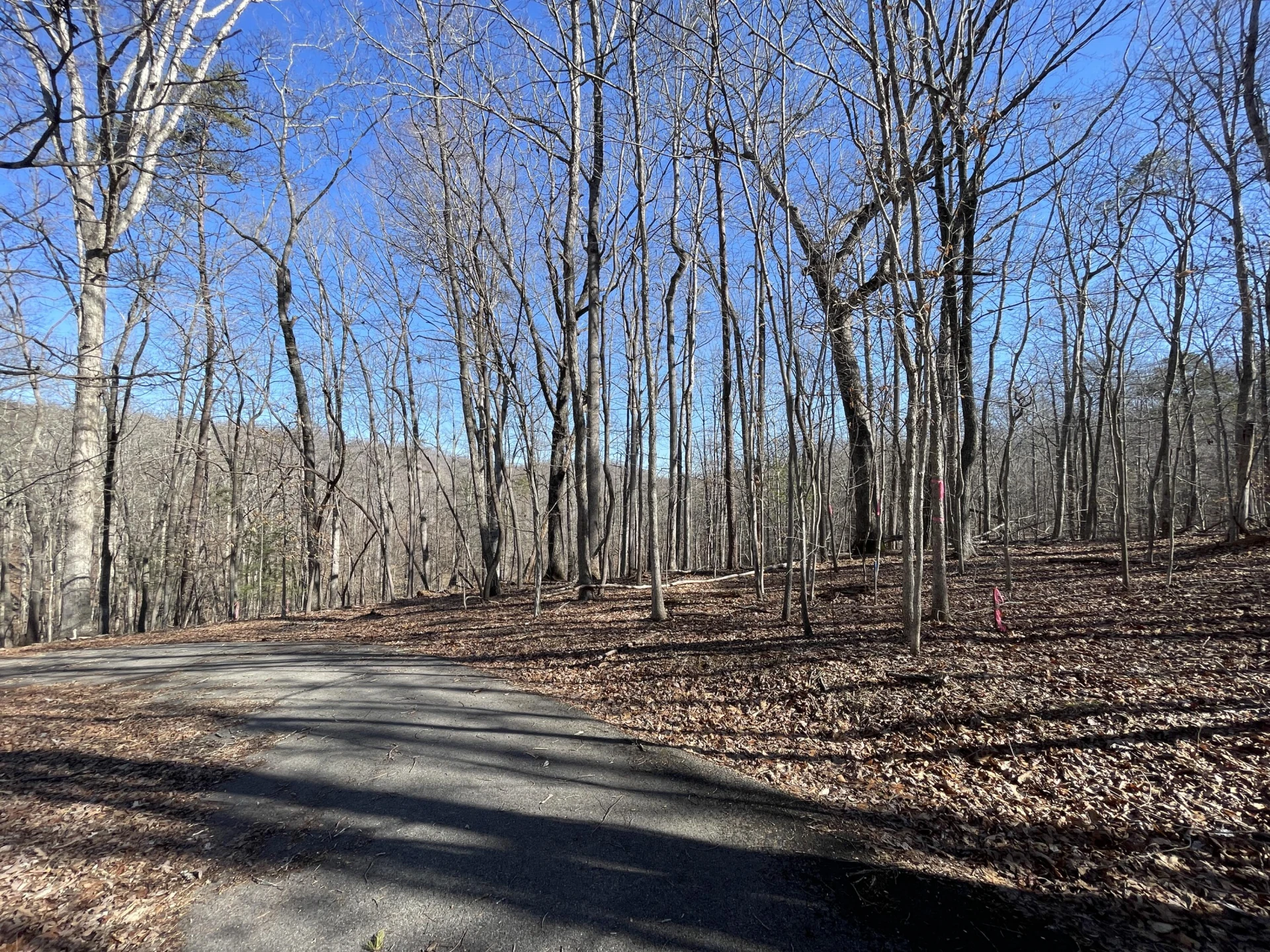 Lot 91 Summerset DR - Photo 4