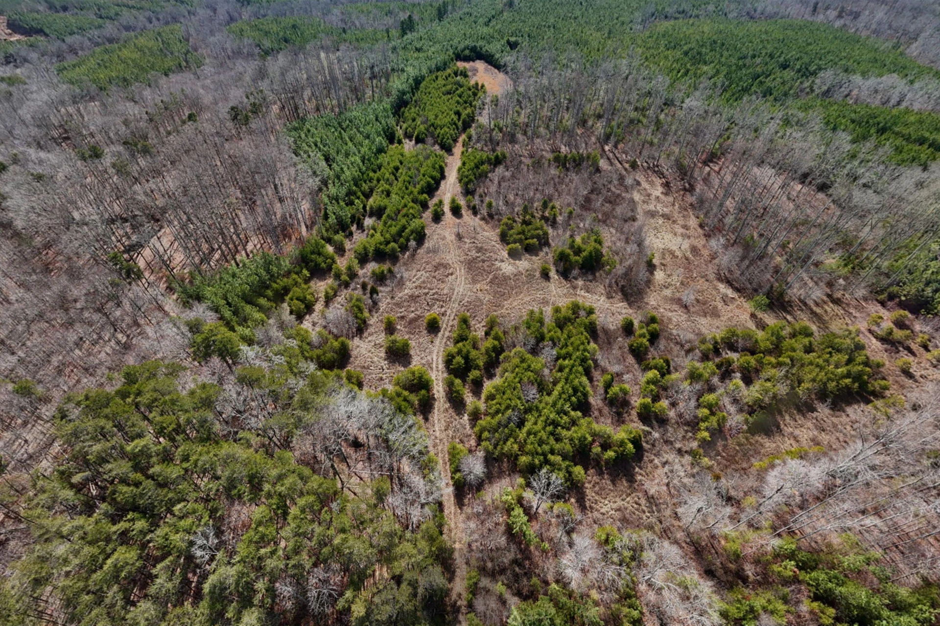 604 Green Farm RD - Photo 19