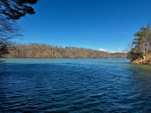 5588 Nunn Hollow RD - Photo 16