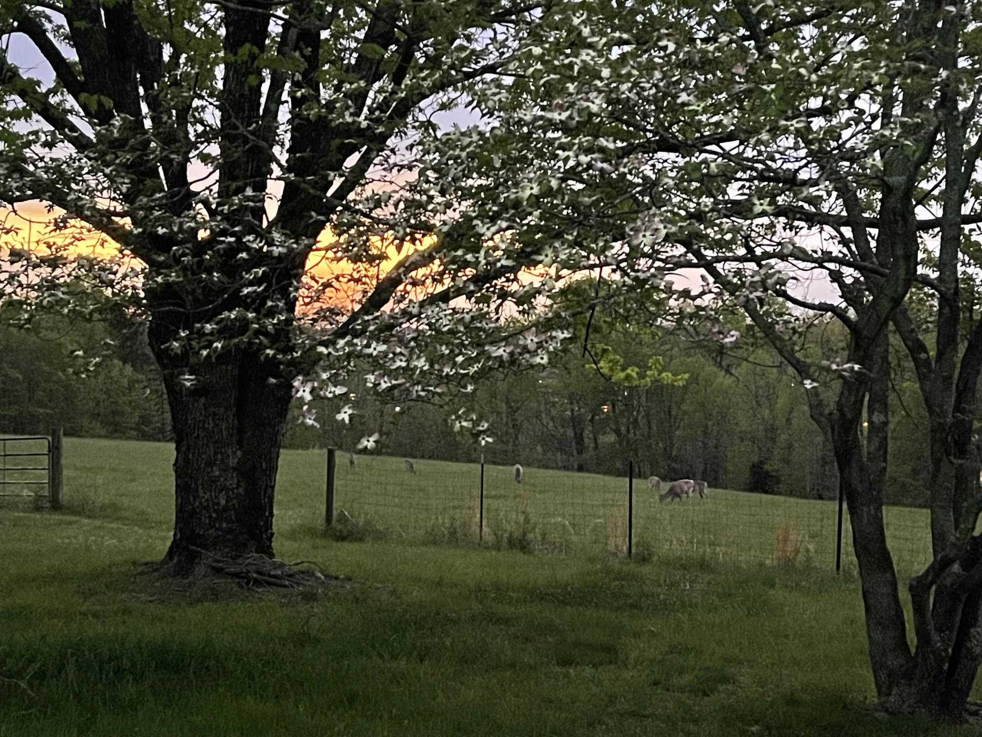 1345 Stone Mill RD - Photo 60