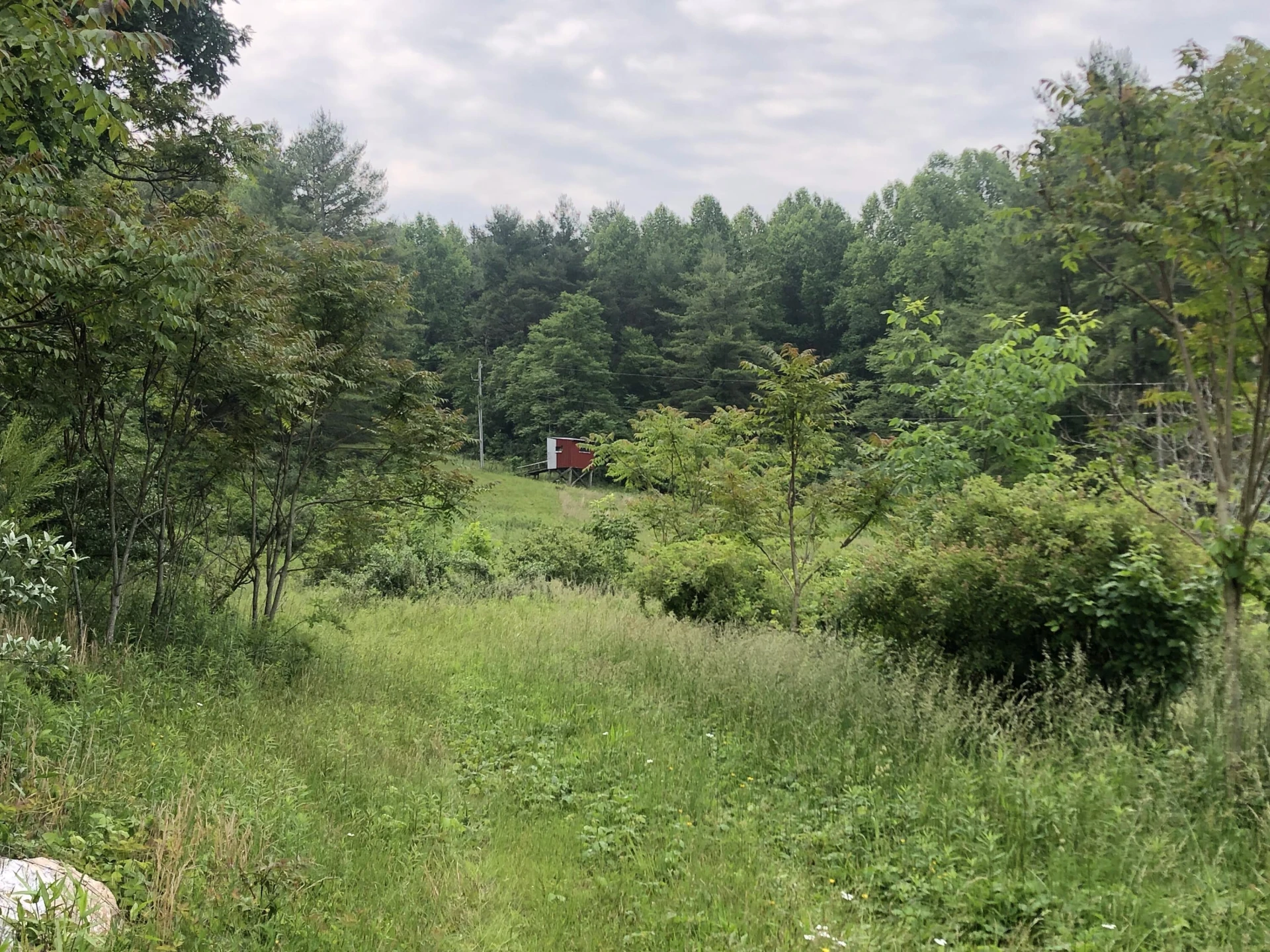 629 Paradise LN SE - Photo 27