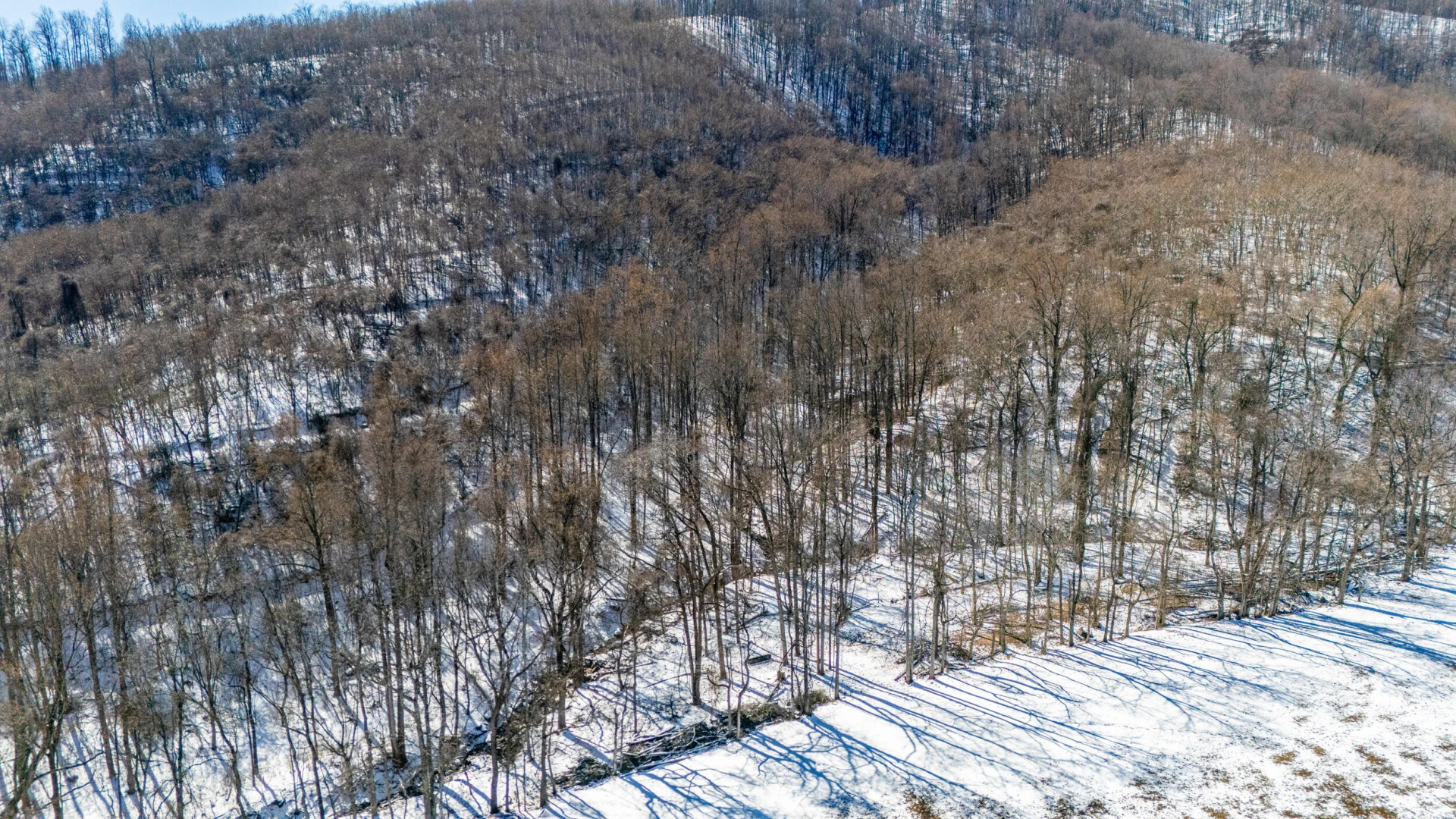 0 Lavender LN - Photo 28