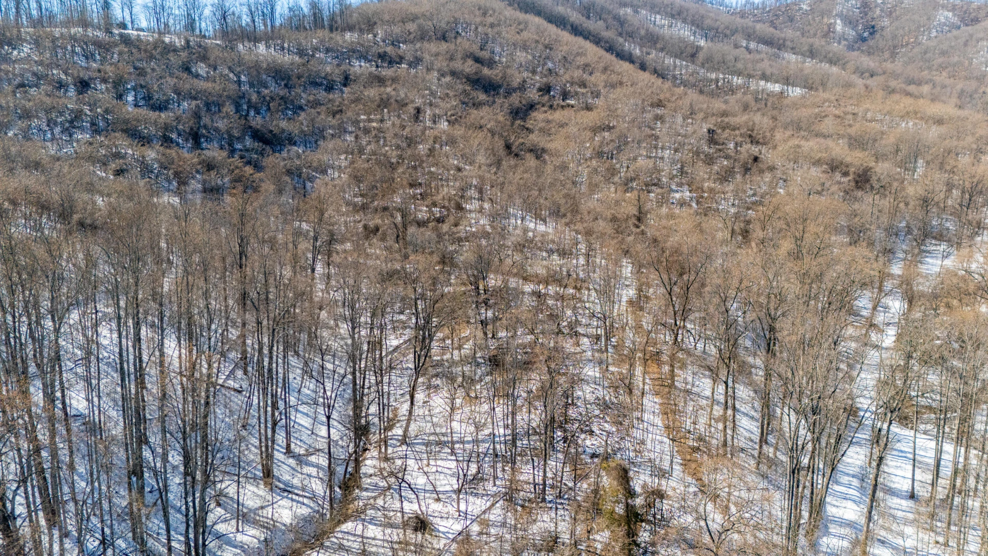 0 Lavender LN - Photo 31