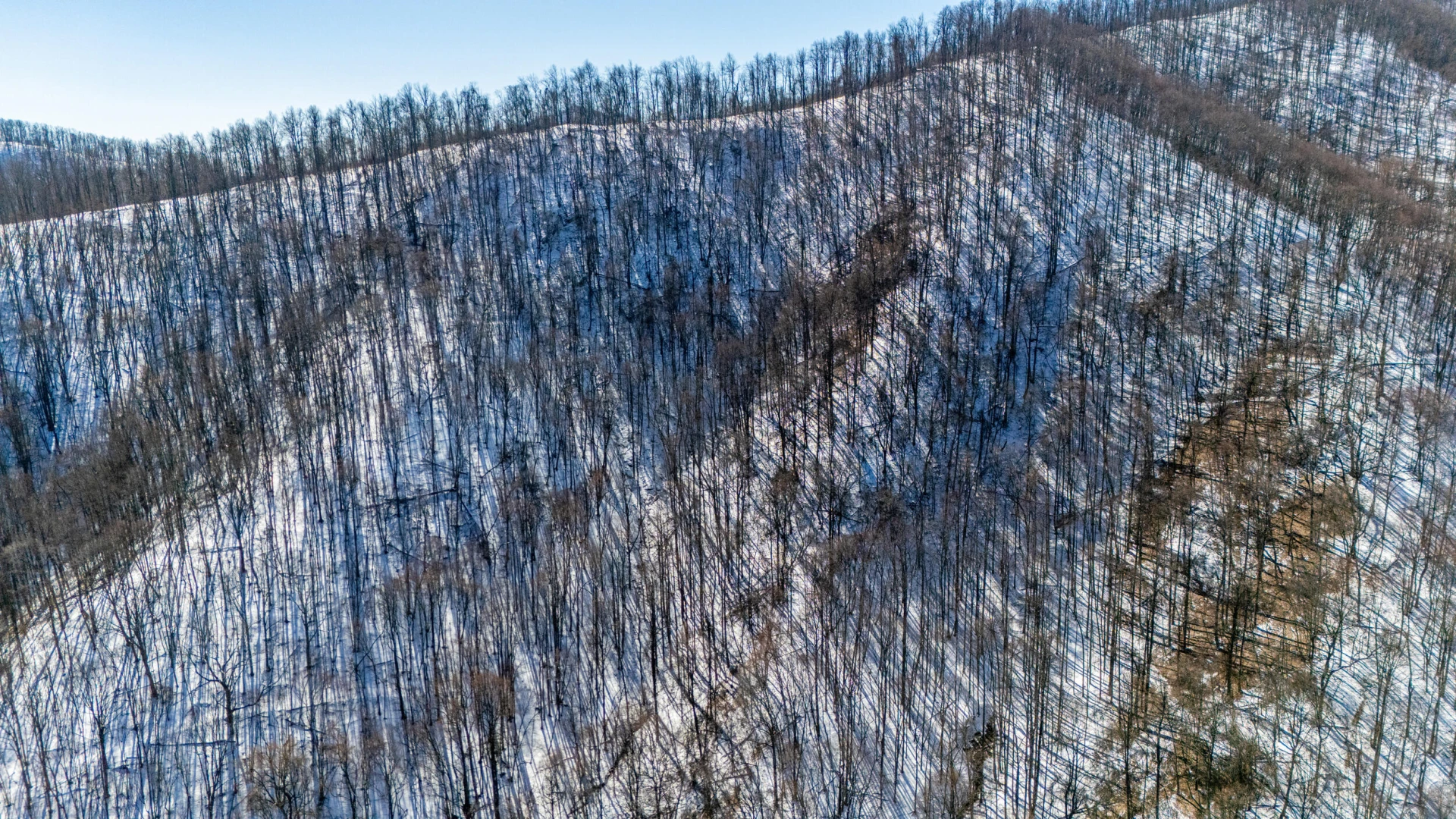 0 Lavender LN - Photo 37