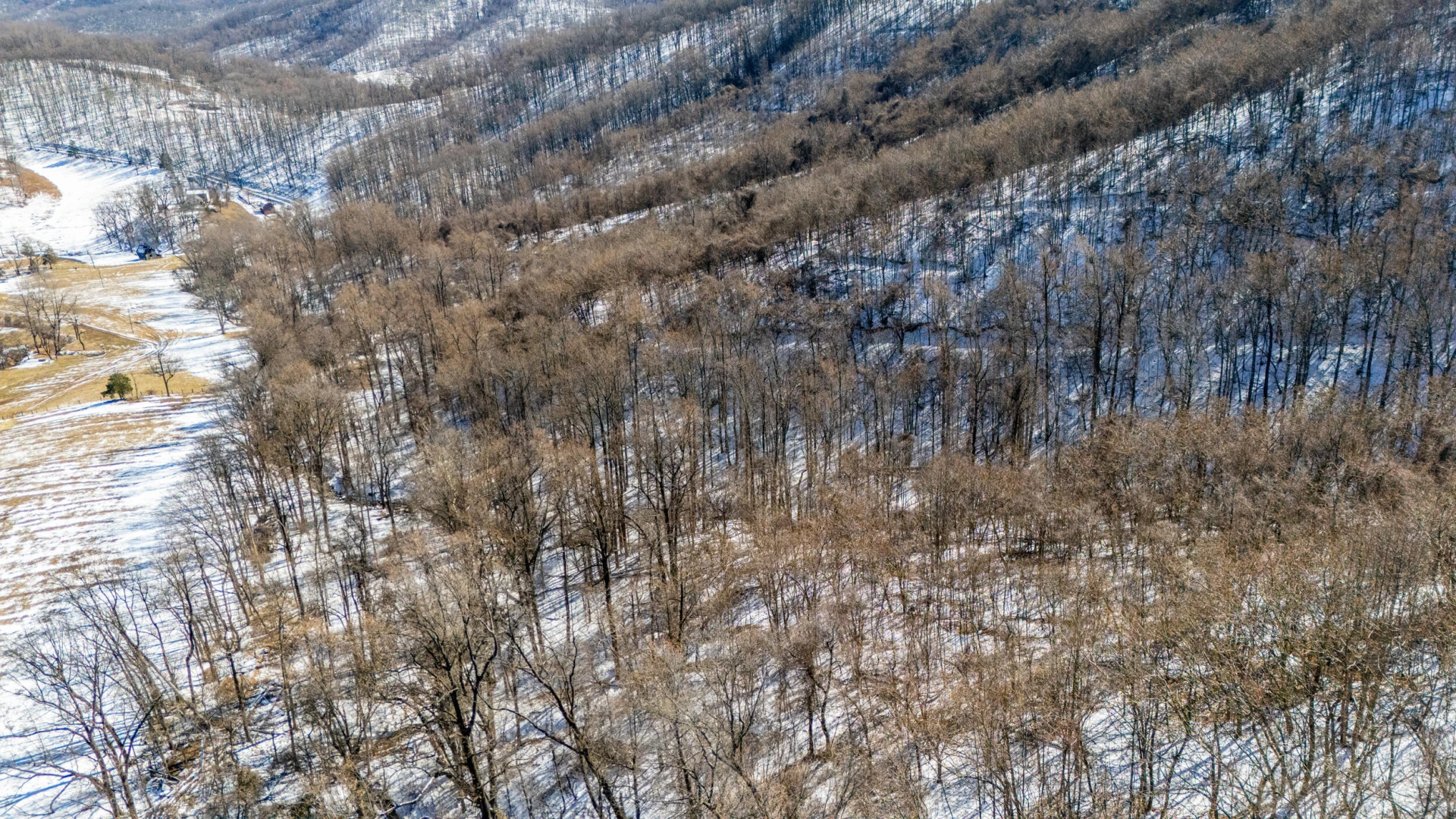 0 Lavender LN - Photo 40