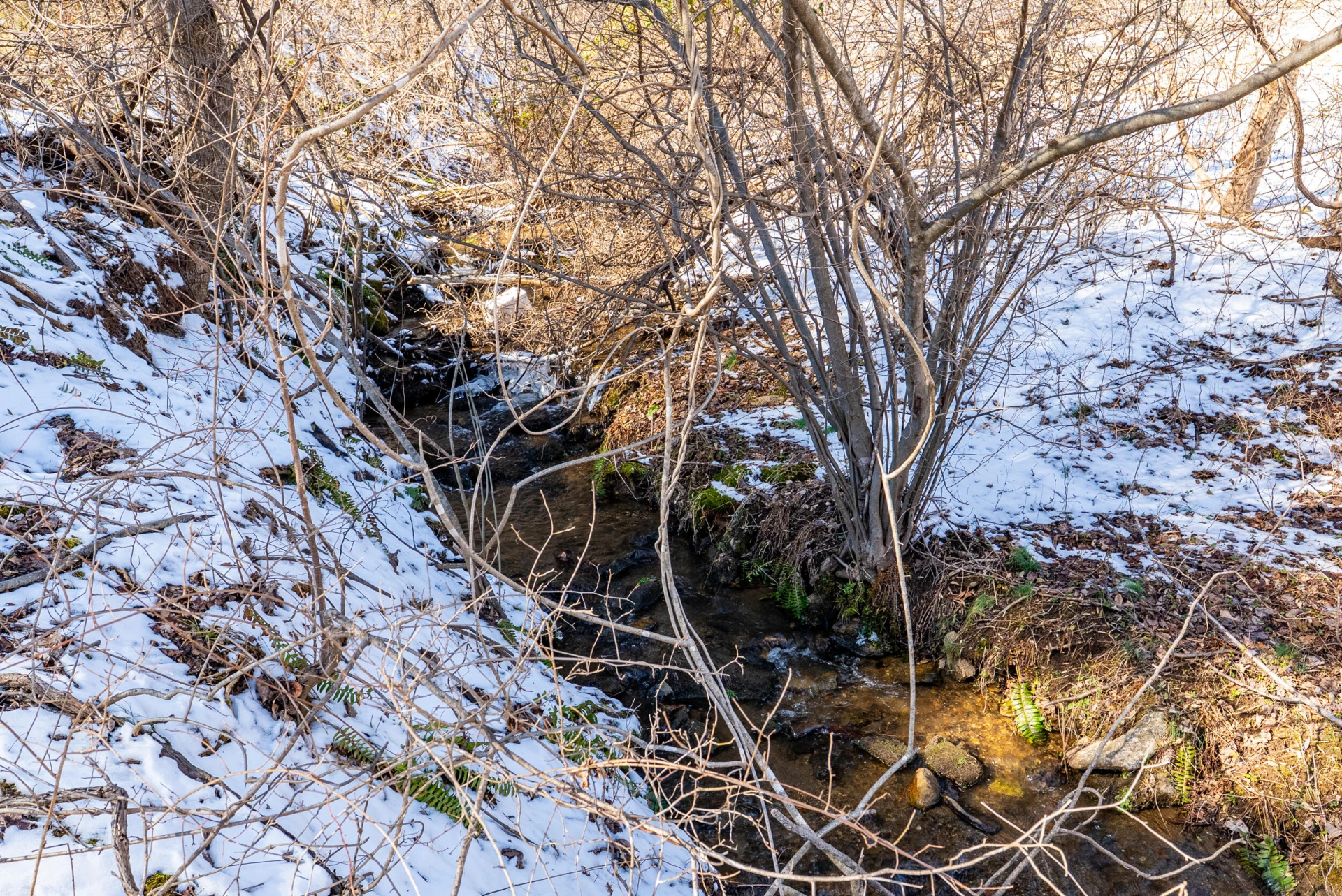 0 Lavender LN - Photo 46