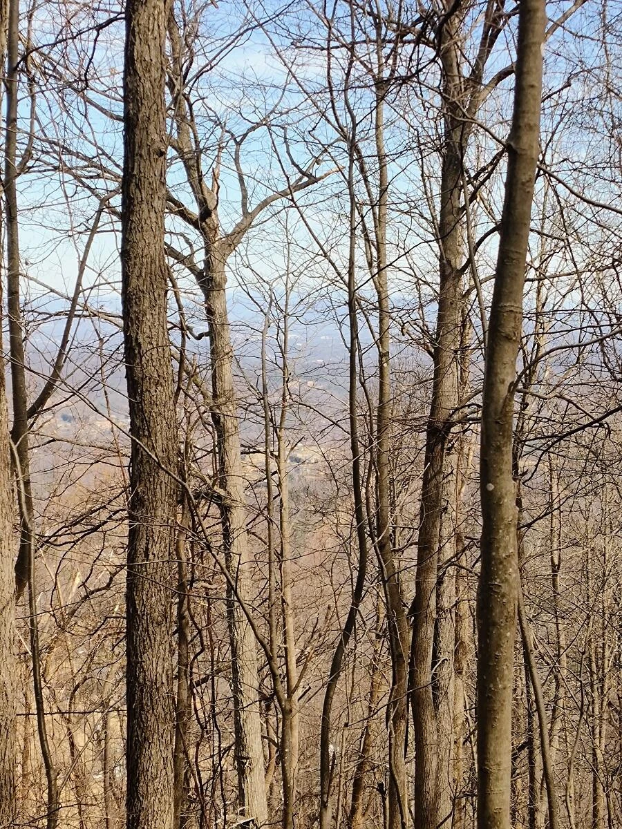 0 Bent Mountain RD