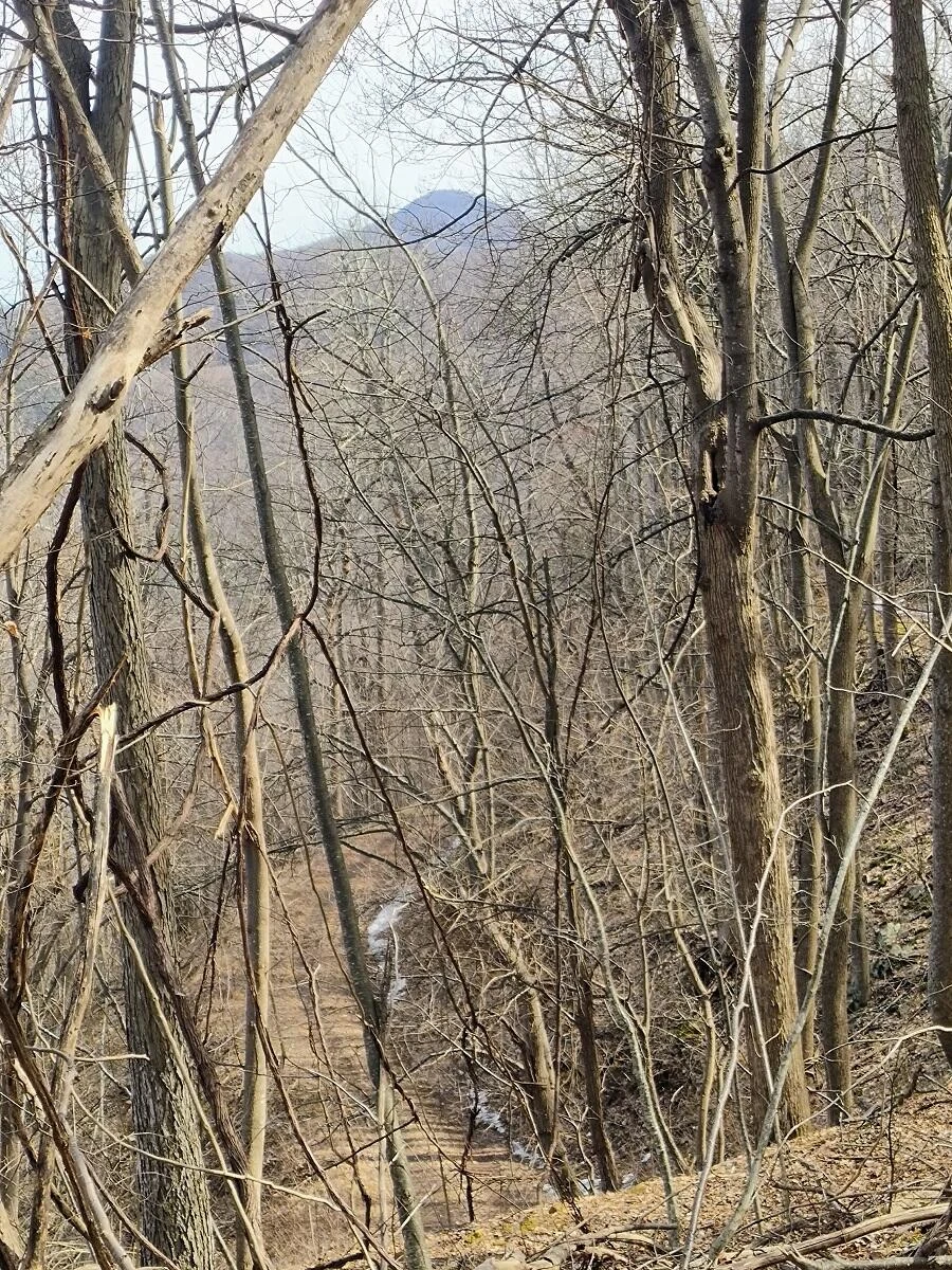 0 Bent Mountain RD - Photo 10