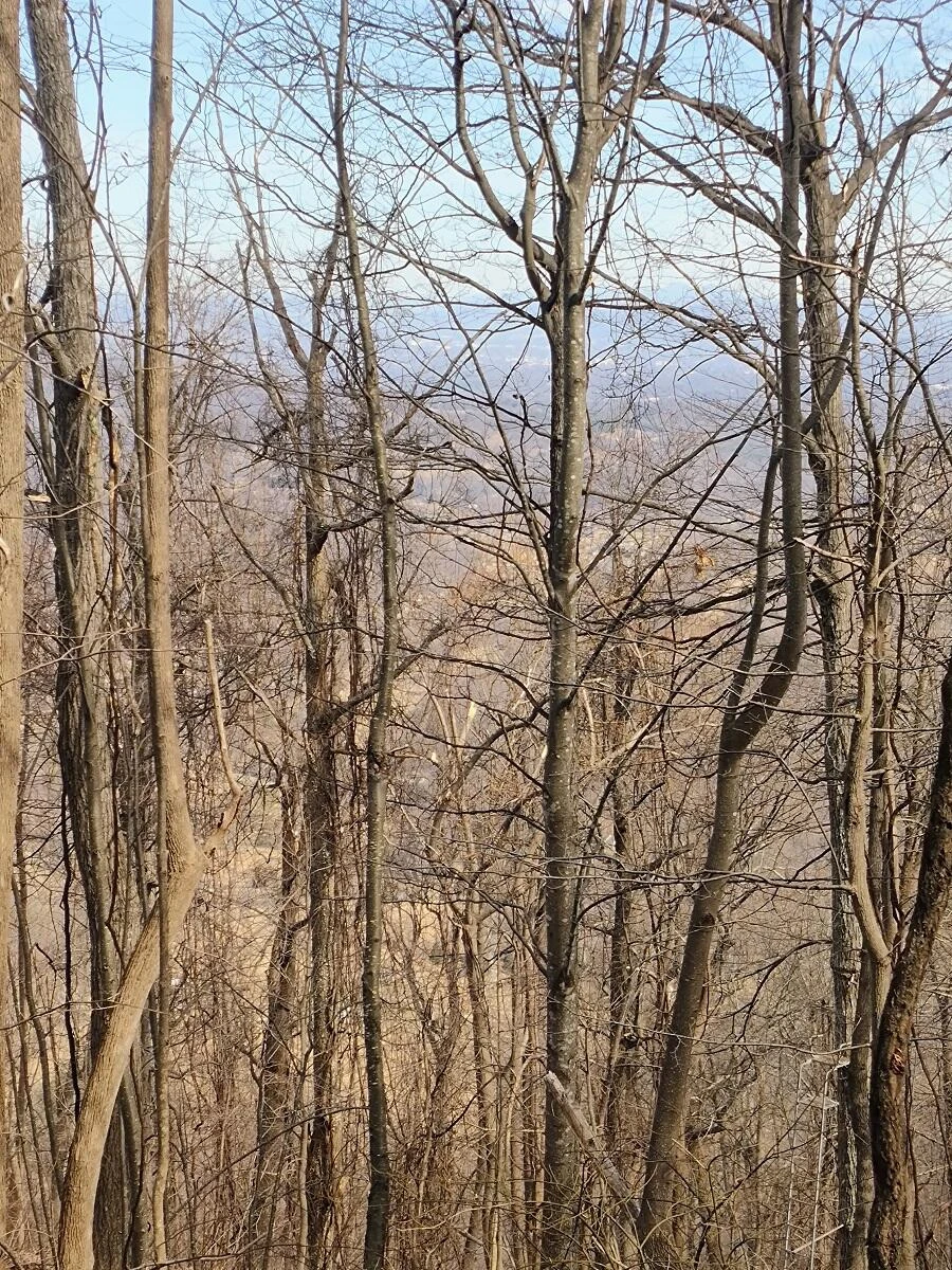 0 Bent Mountain RD - Photo 11