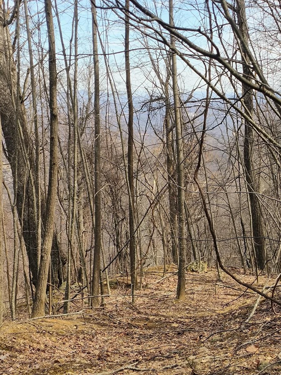 0 Bent Mountain RD - Photo 12