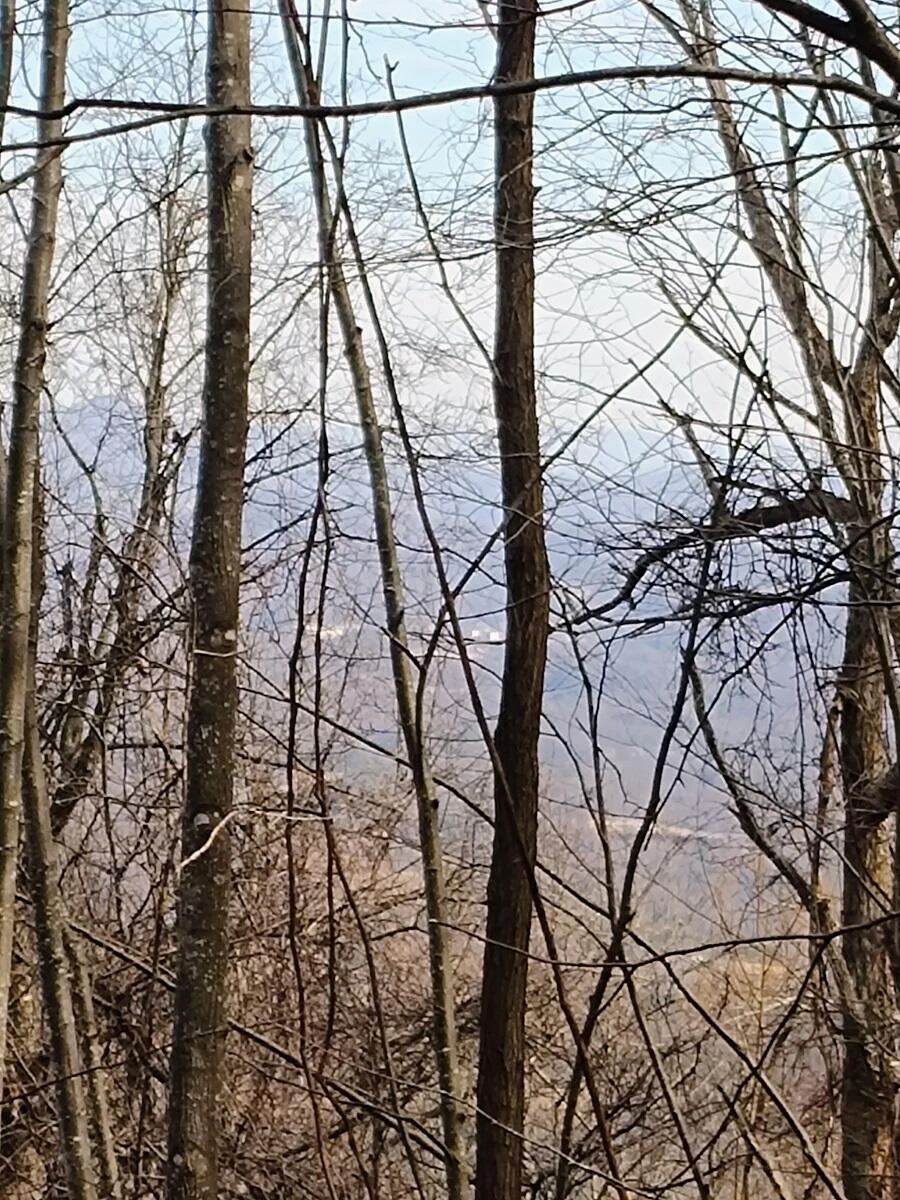 0 Bent Mountain RD - Photo 13