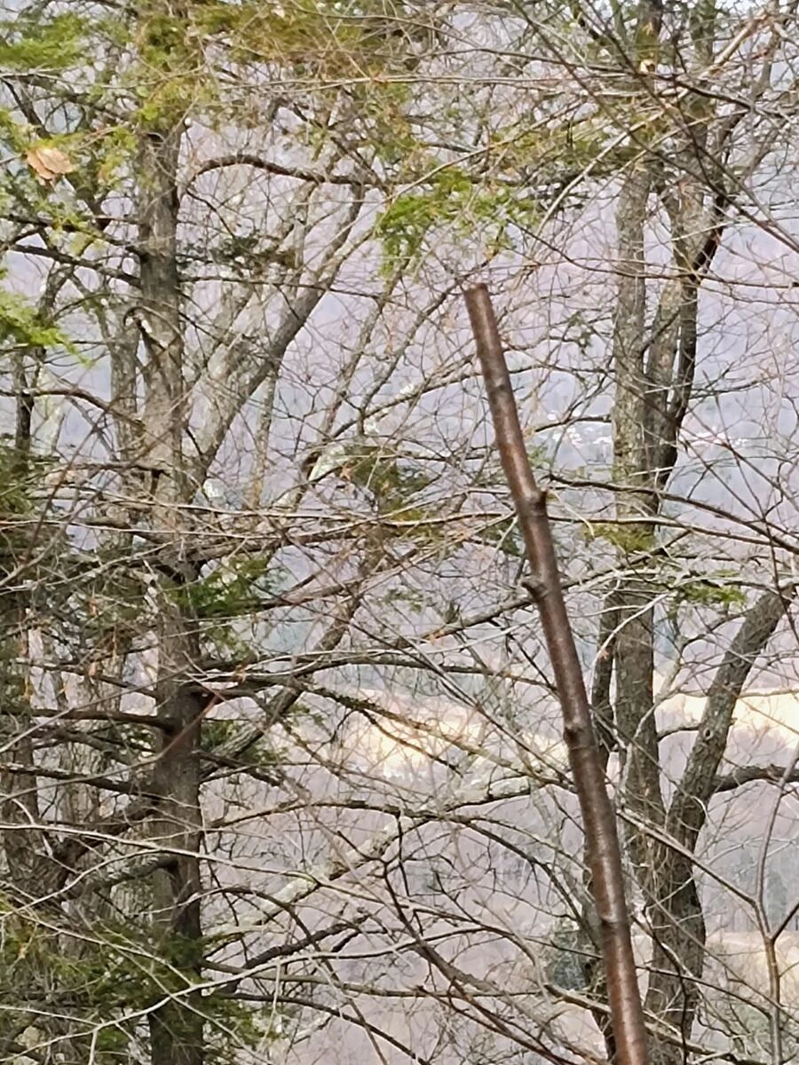 0 Bent Mountain RD - Photo 15