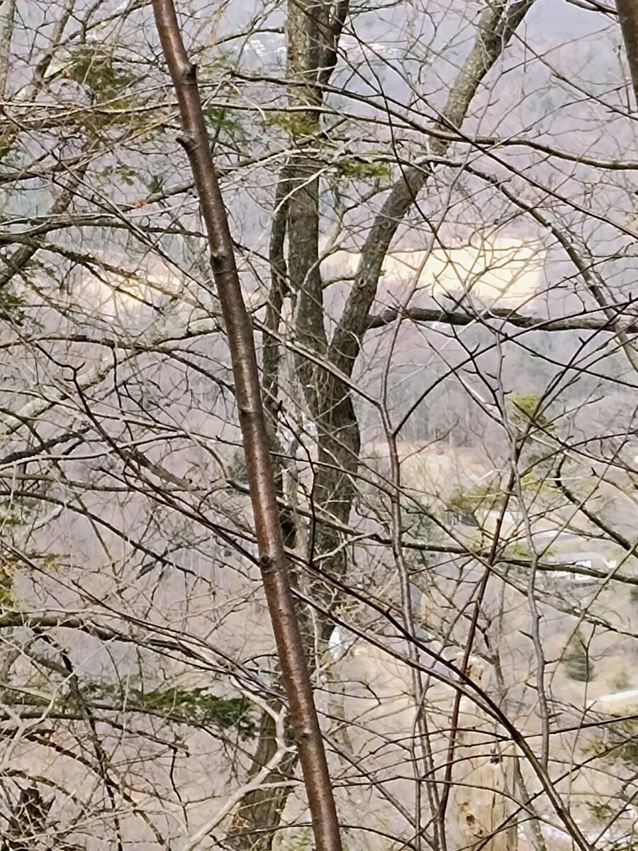0 Bent Mountain RD - Photo 16