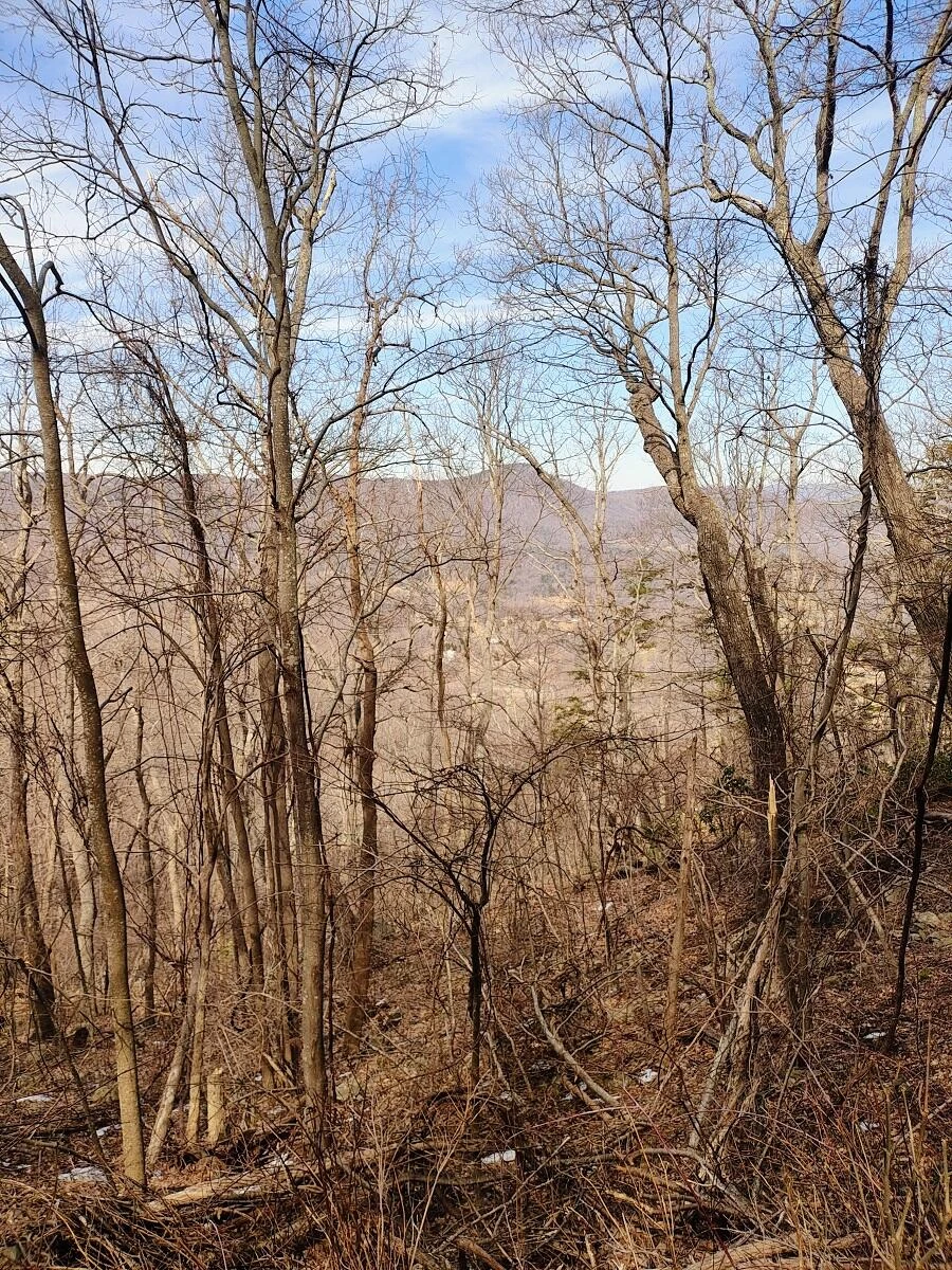 0 Bent Mountain RD - Photo 17