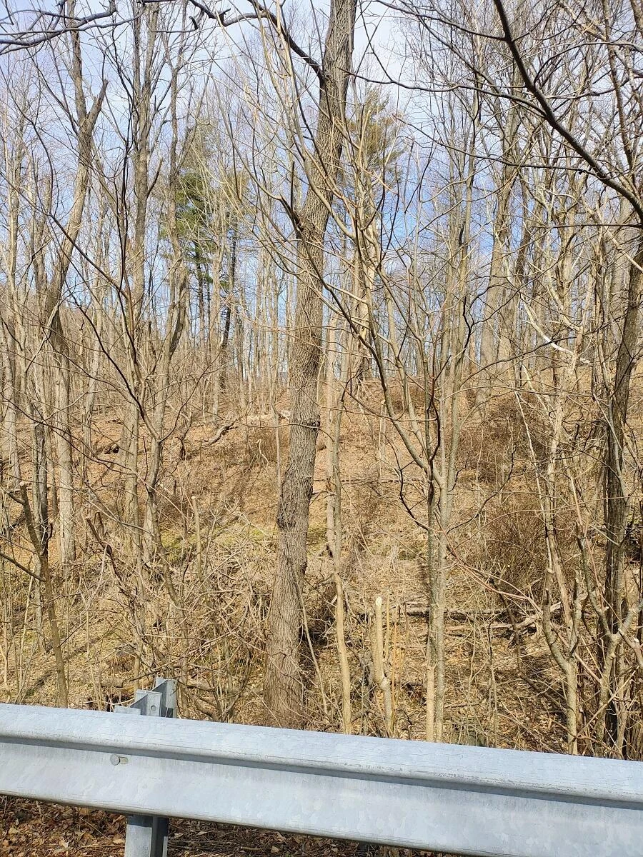 0 Bent Mountain RD - Photo 19