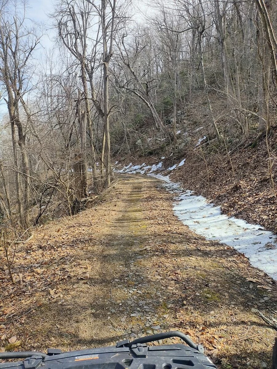 0 Bent Mountain RD - Photo 3