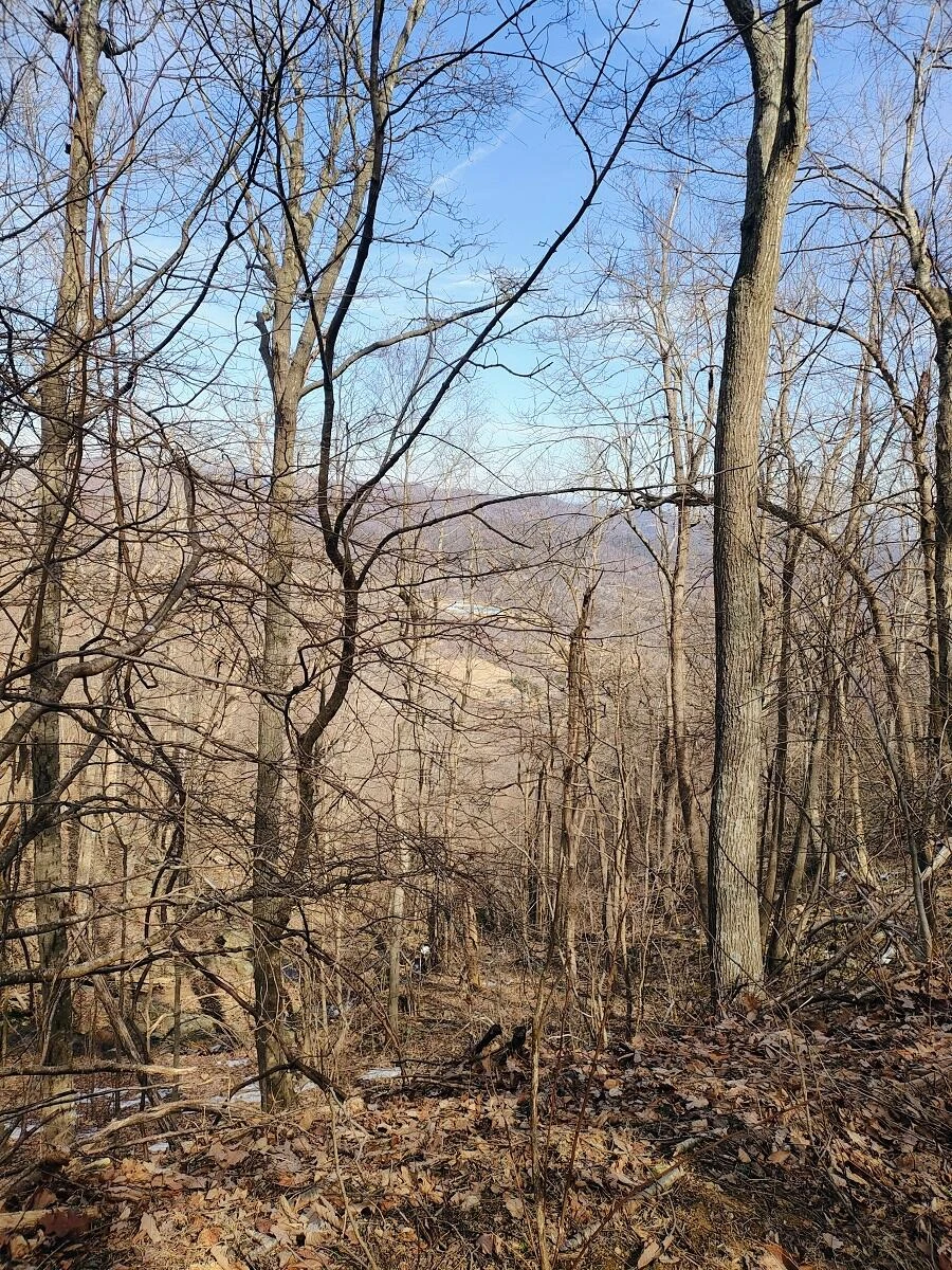 0 Bent Mountain RD - Photo 4