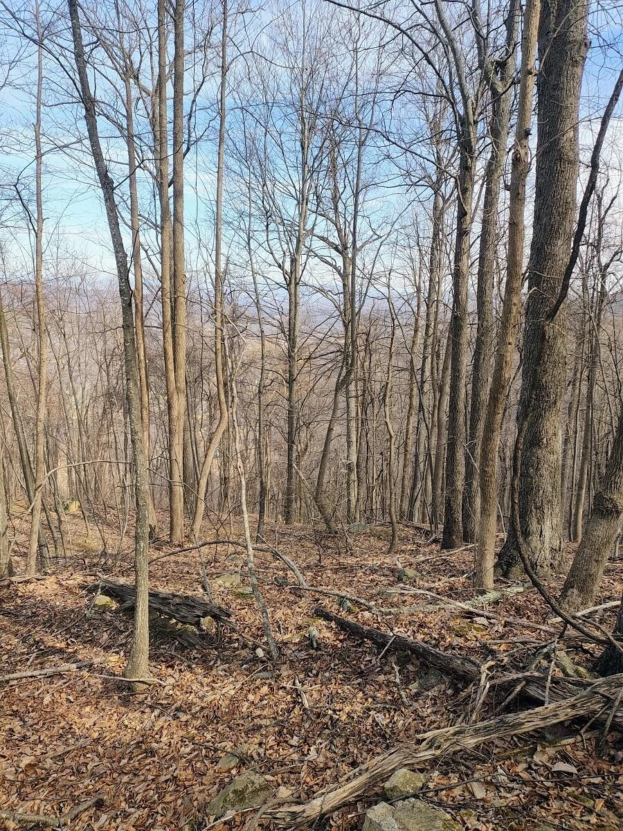 0 Bent Mountain RD - Photo 5