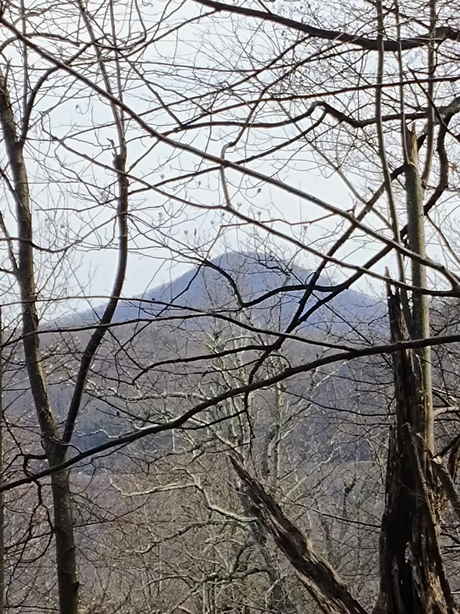 0 Bent Mountain RD - Photo 7