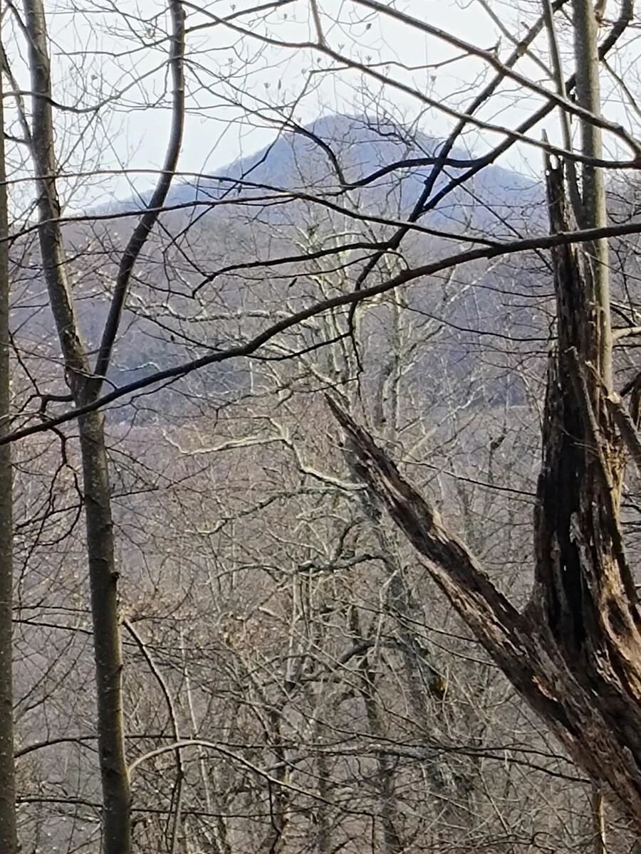 0 Bent Mountain RD - Photo 8