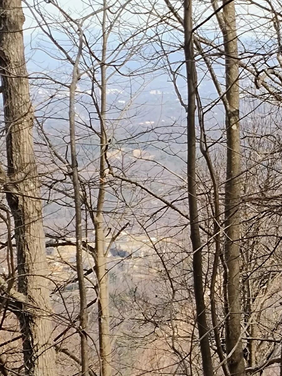 0 Bent Mountain RD - Photo 9