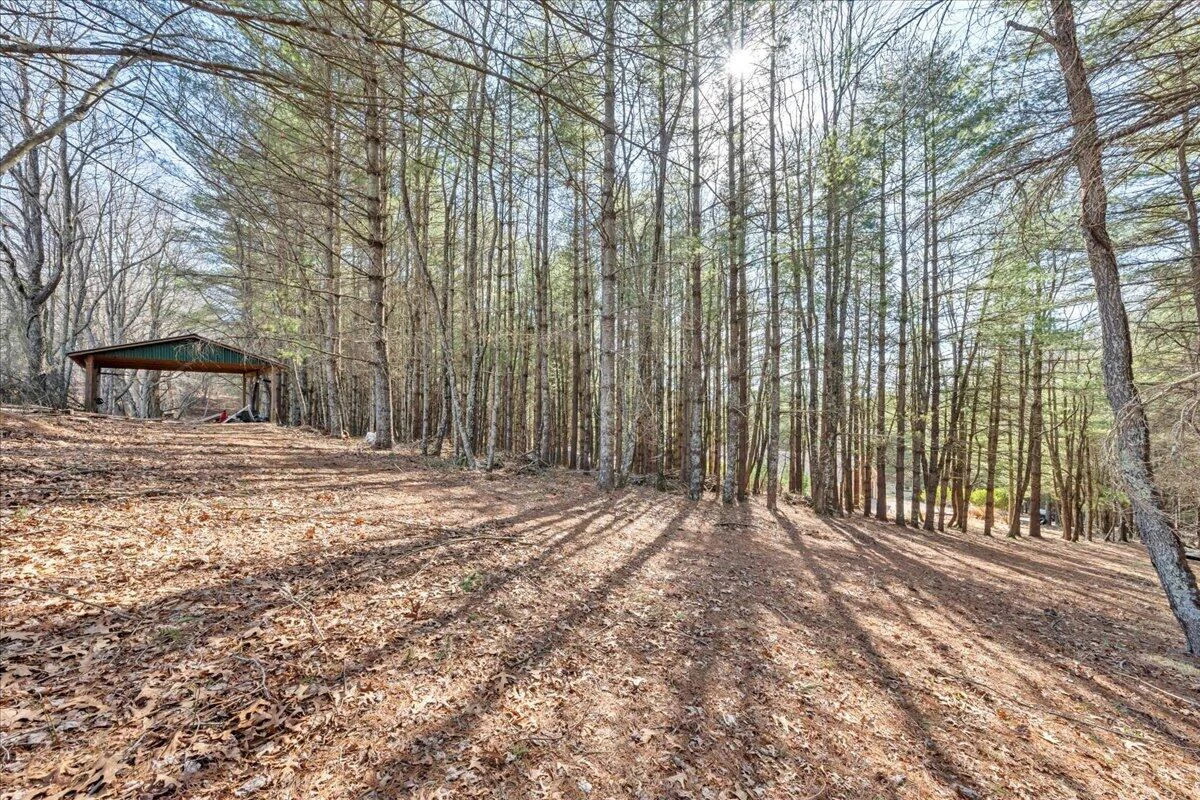 181 Borderline RD NW - Photo 46