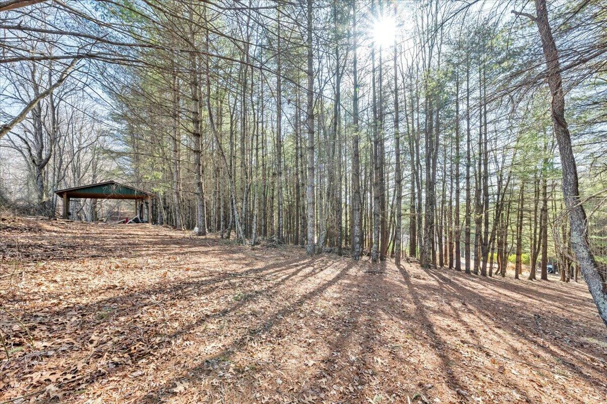 181 Borderline RD NW - Photo 47
