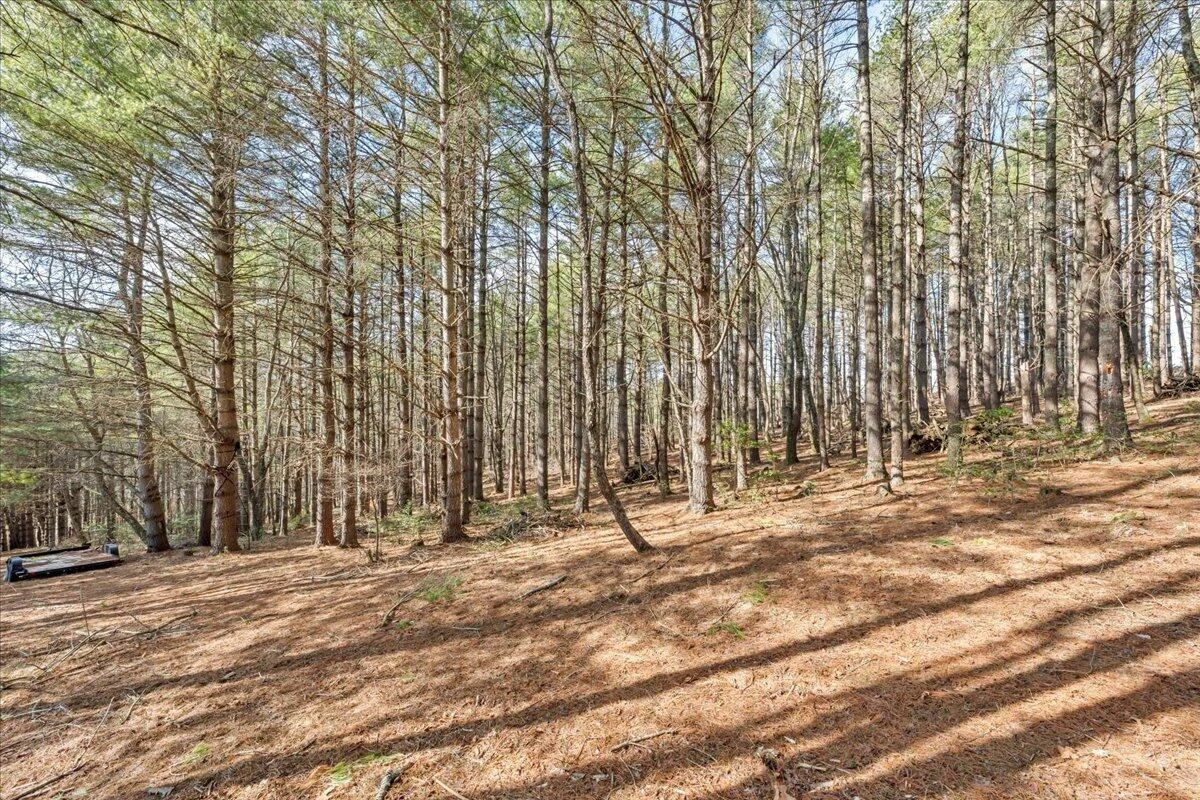 181 Borderline RD NW - Photo 48