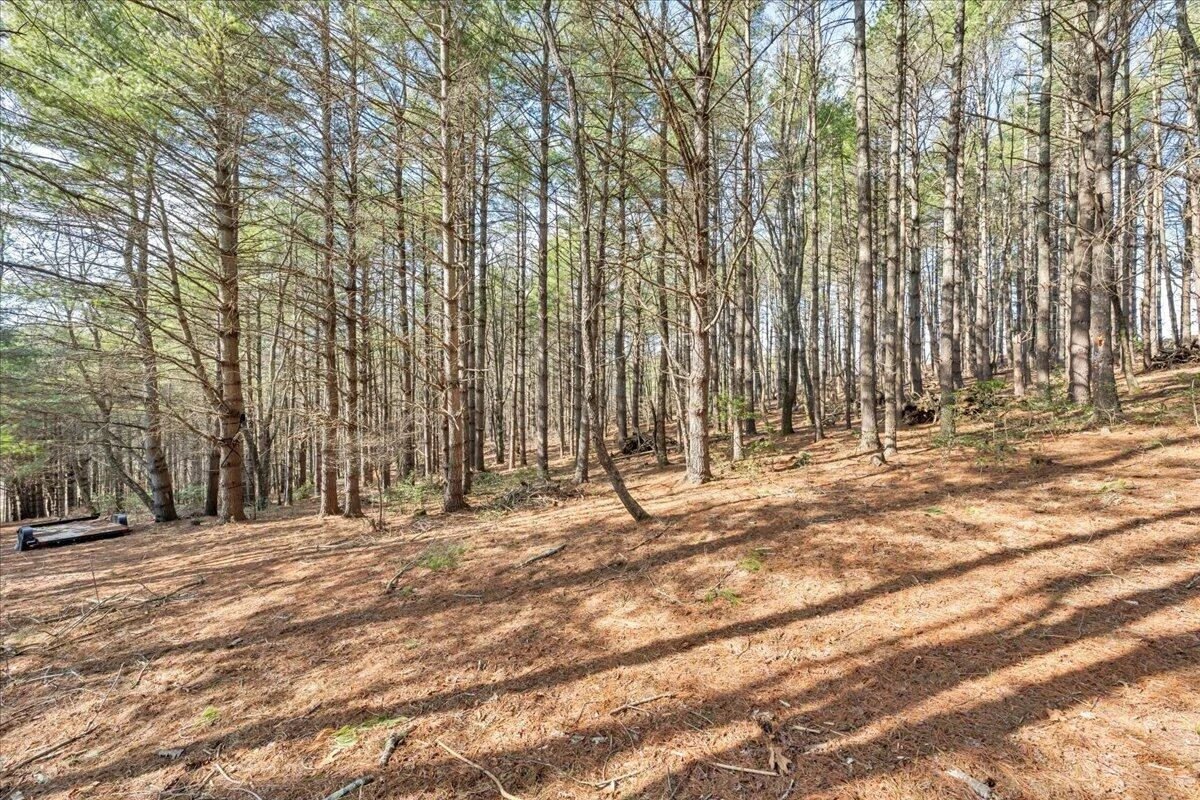 181 Borderline RD NW - Photo 49