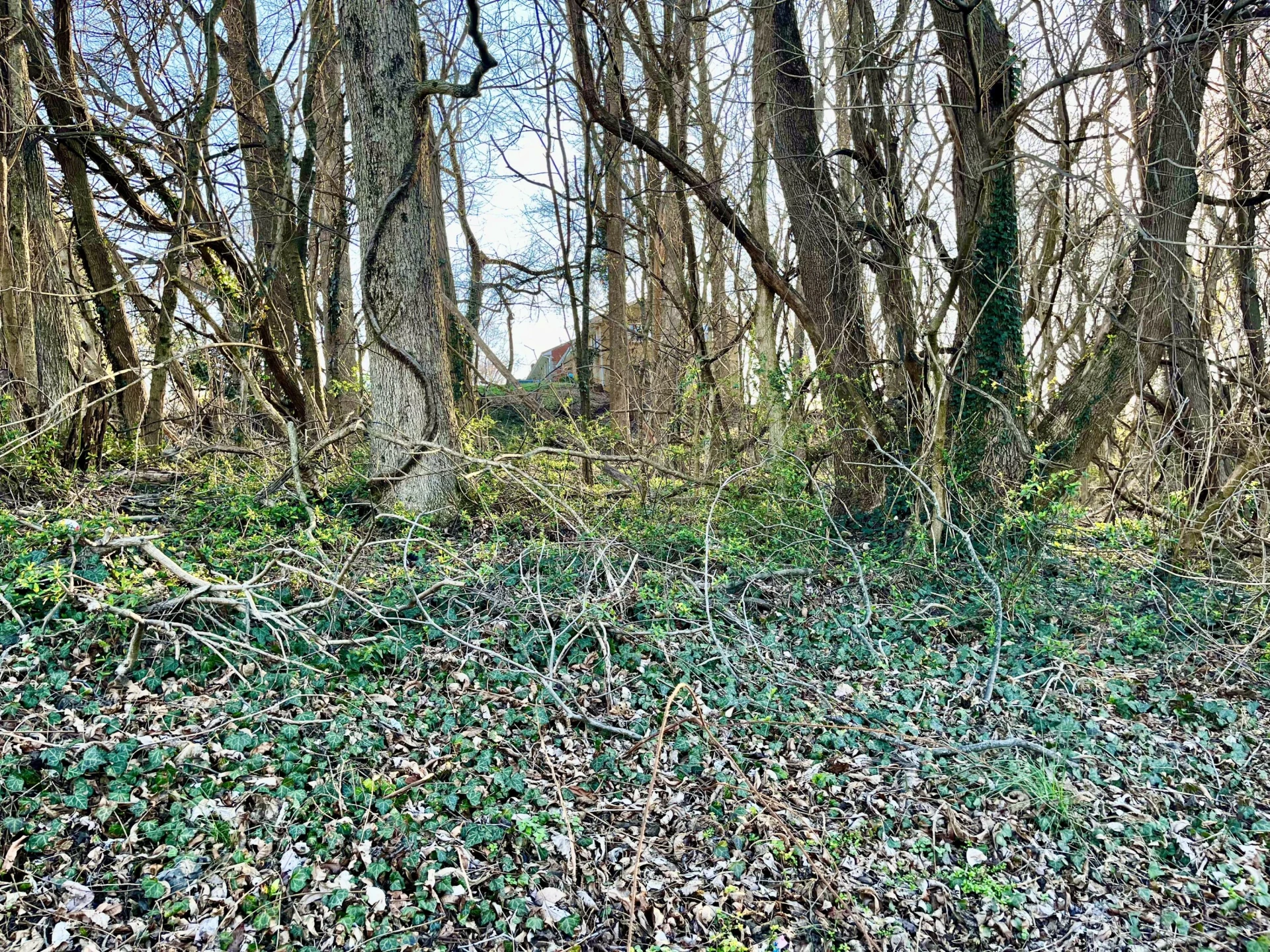 Lot 3, 4 E Main ST - Photo 6
