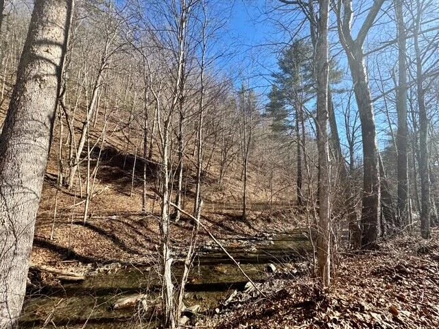 0 Ogle Creek RD - Photo 2