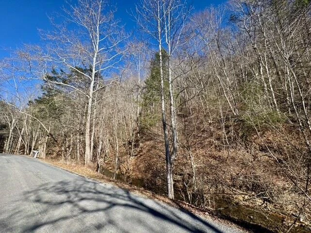 0 Ogle Creek RD - Photo 3