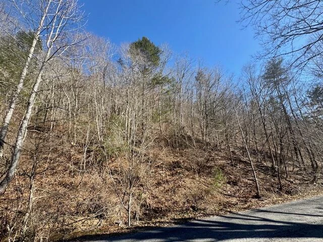 0 Ogle Creek RD - Photo 4