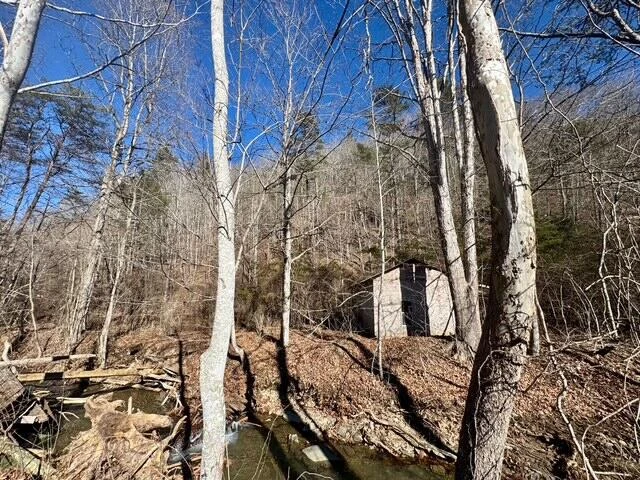 0 Ogle Creek RD - Photo 5