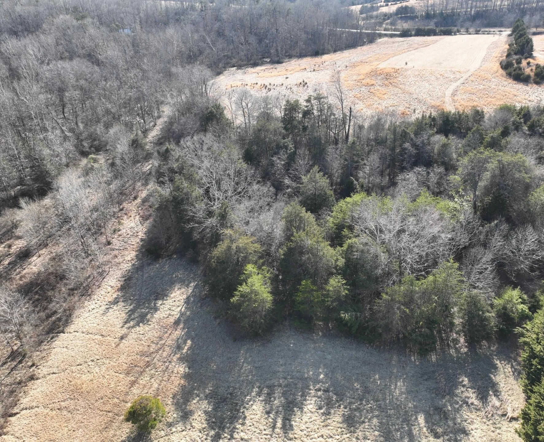 0 White House RD - Photo 10