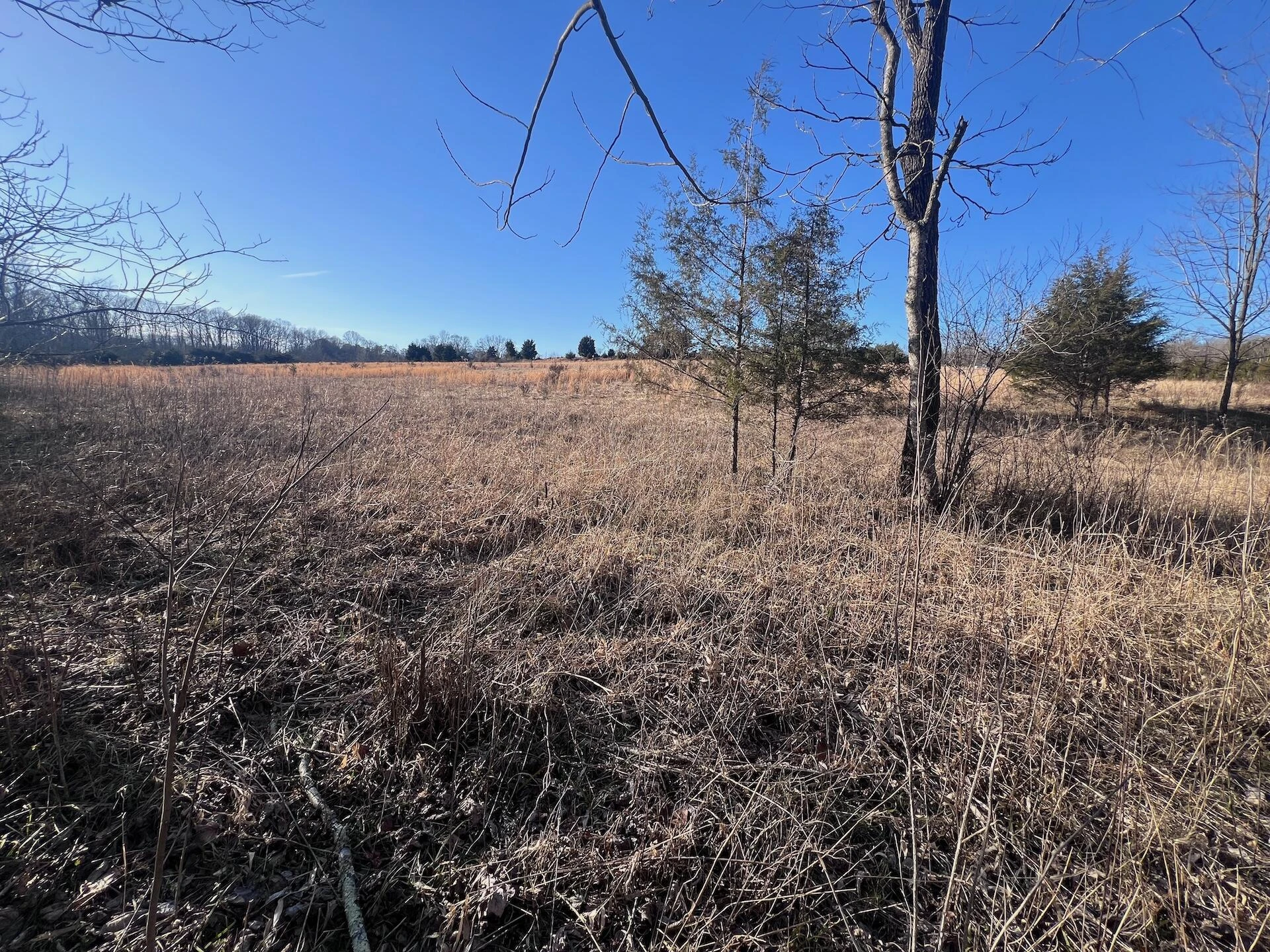 0 White House RD - Photo 11