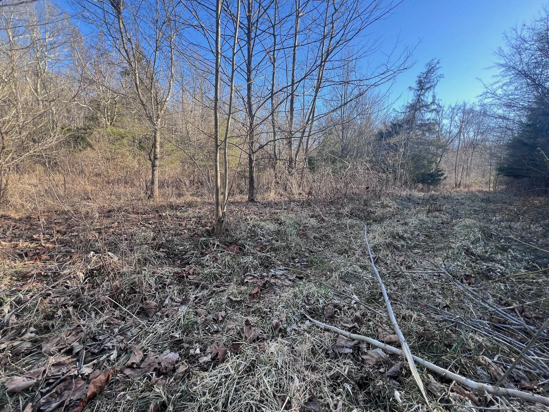 0 White House RD - Photo 15
