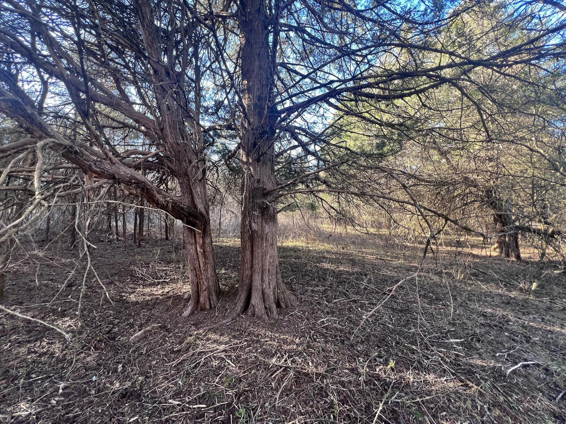 0 White House RD - Photo 16