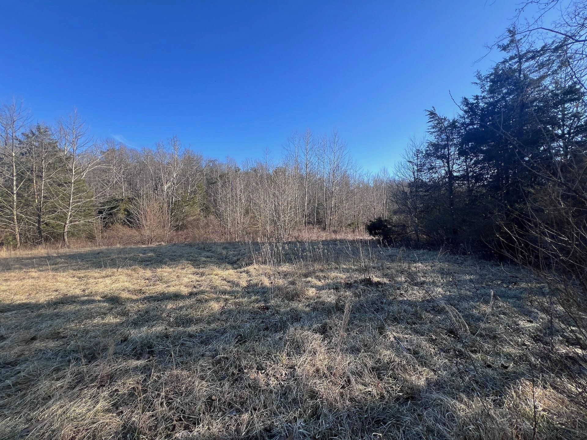 0 White House RD - Photo 17