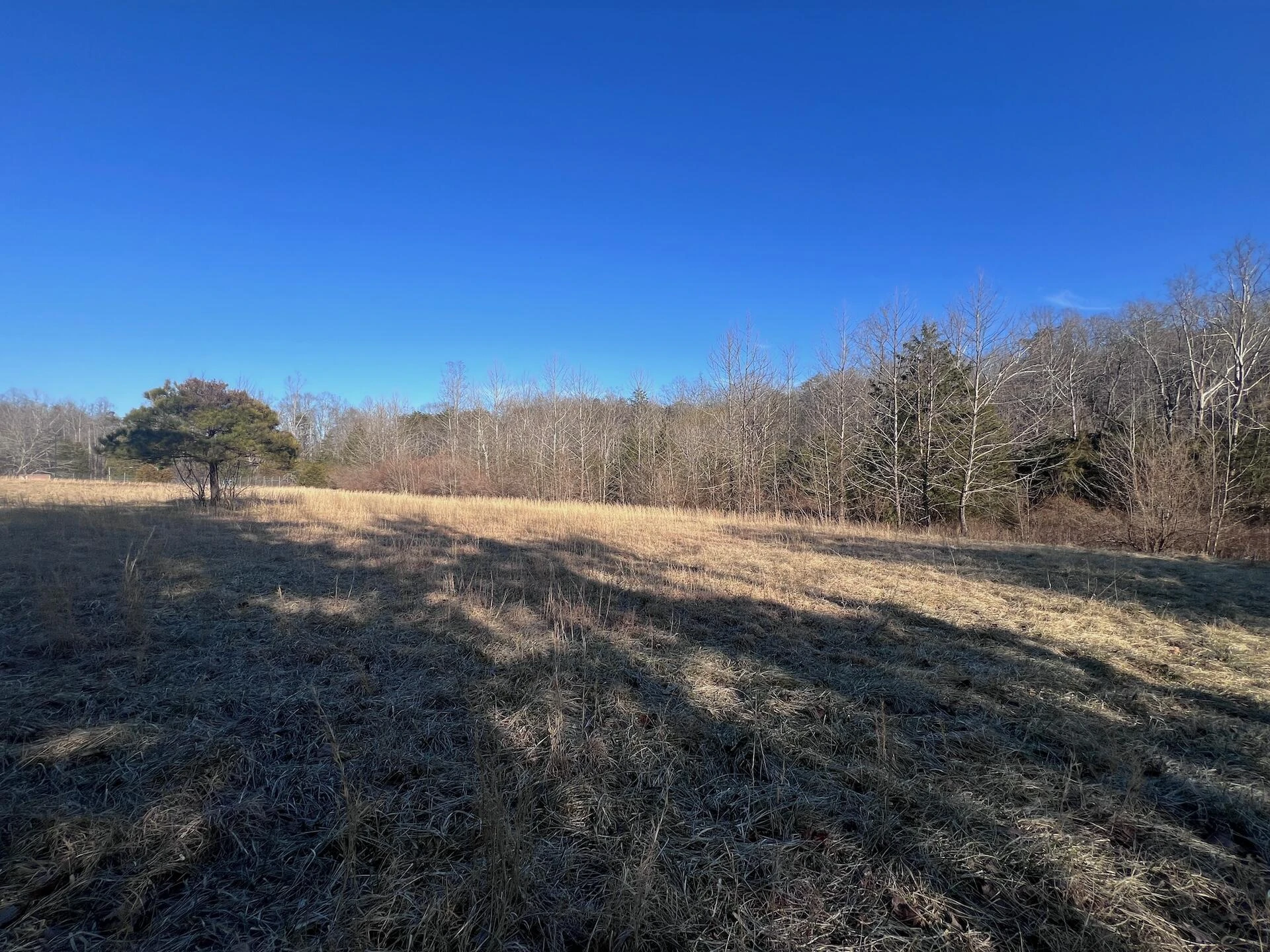 0 White House RD - Photo 19