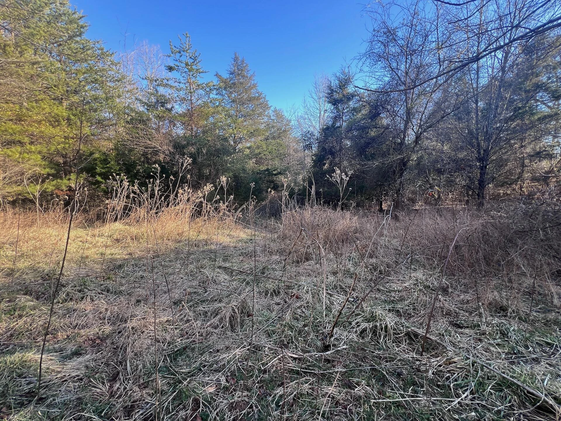 0 White House RD - Photo 20
