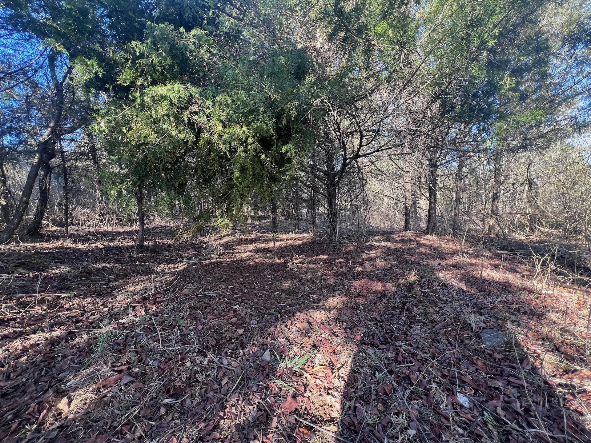 0 White House RD - Photo 22