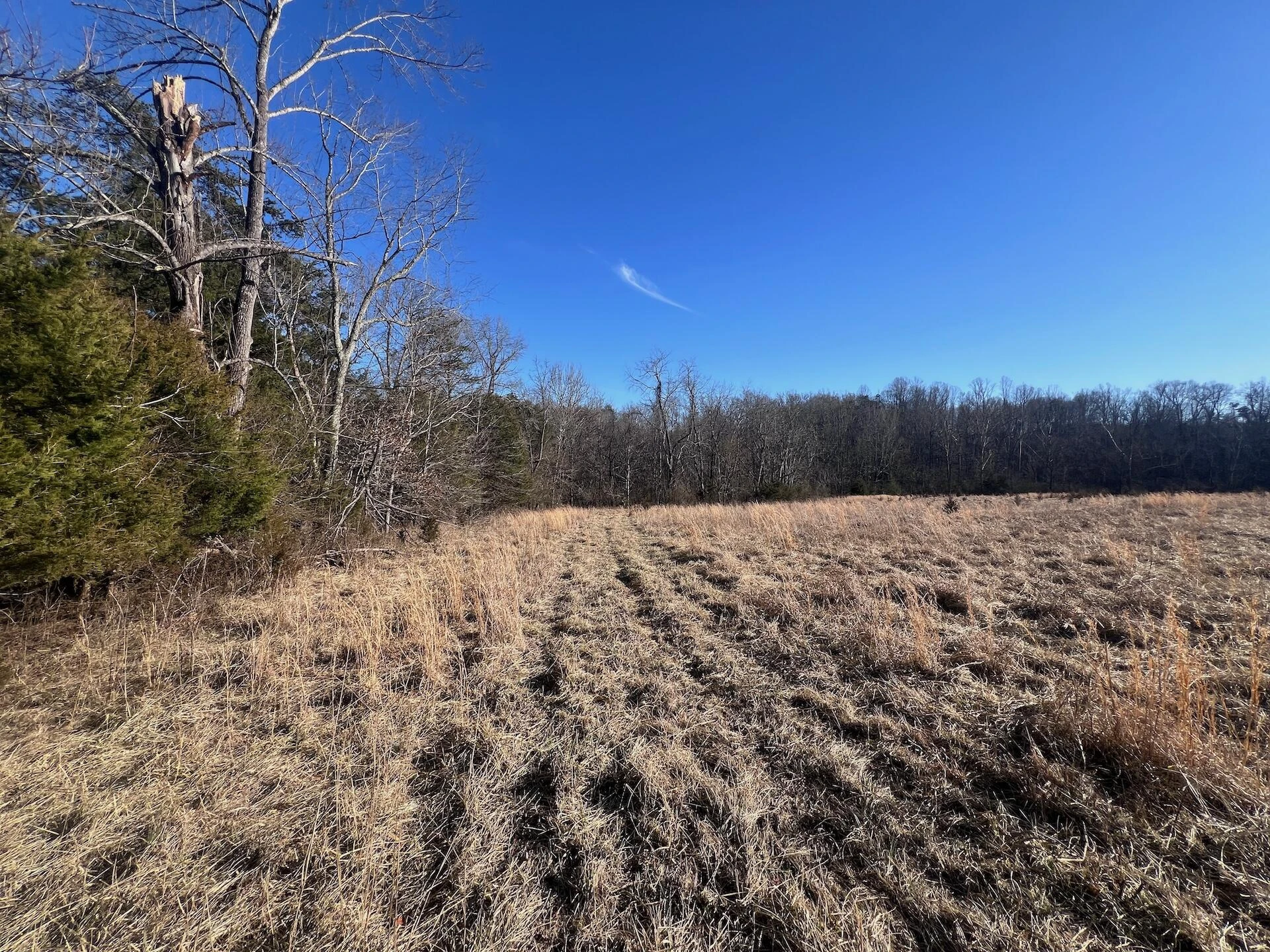 0 White House RD - Photo 23