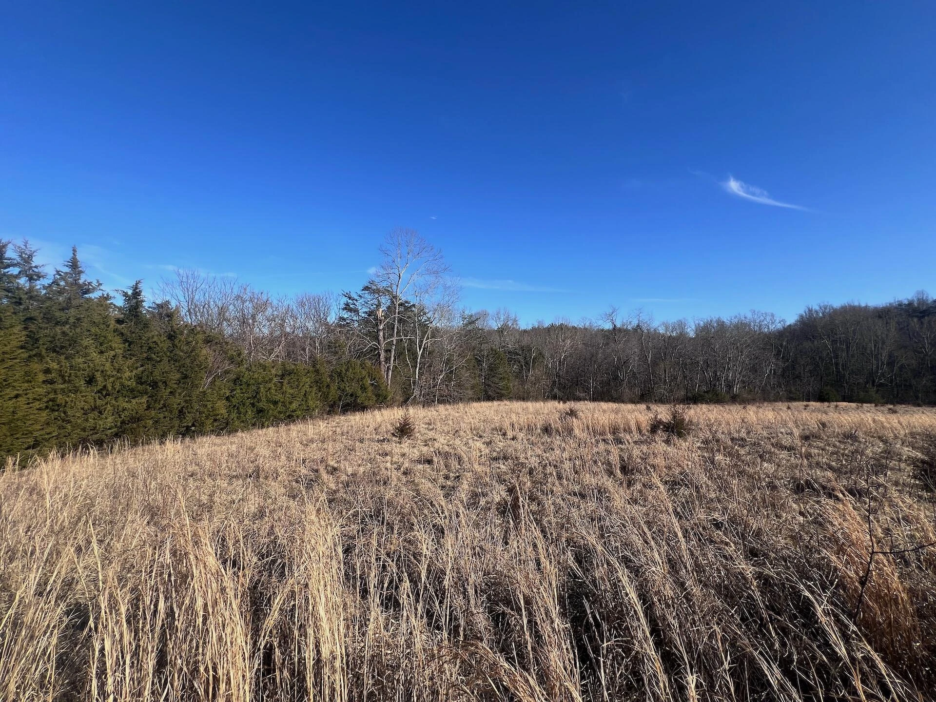 0 White House RD - Photo 24