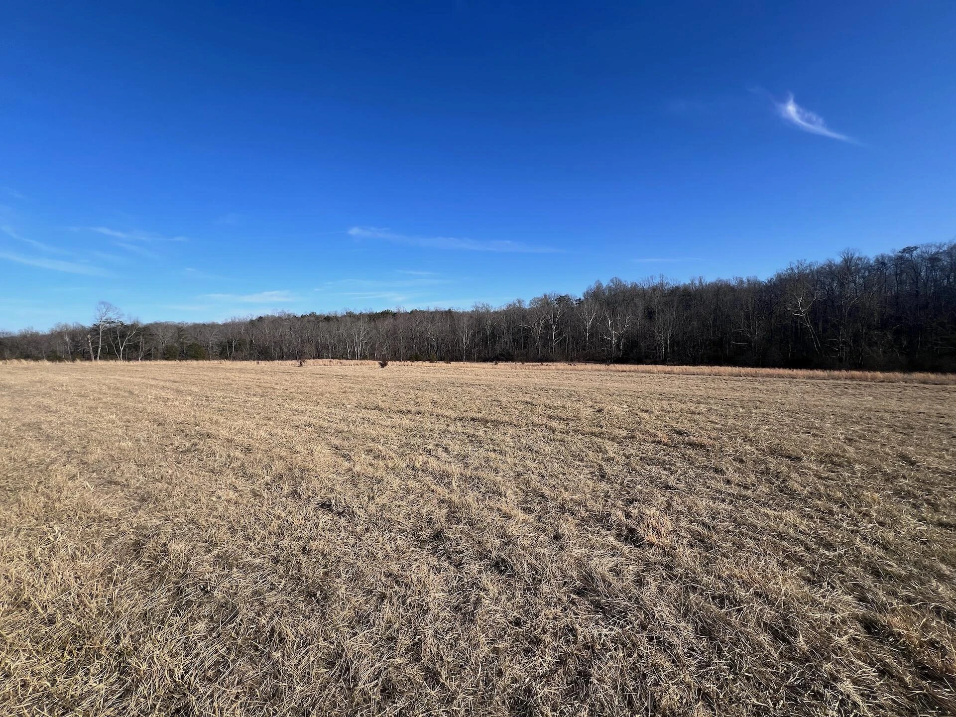 0 White House RD - Photo 26