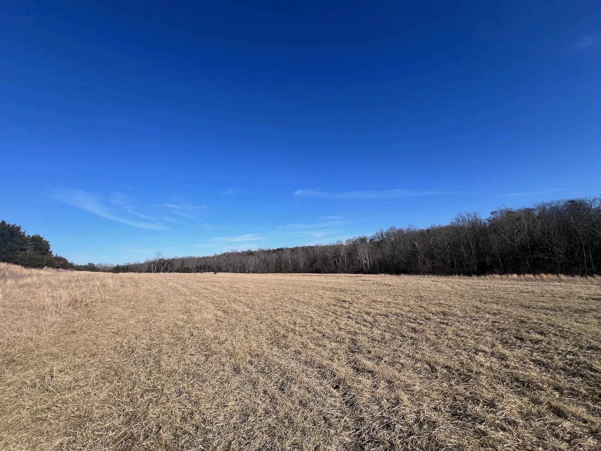 0 White House RD - Photo 27