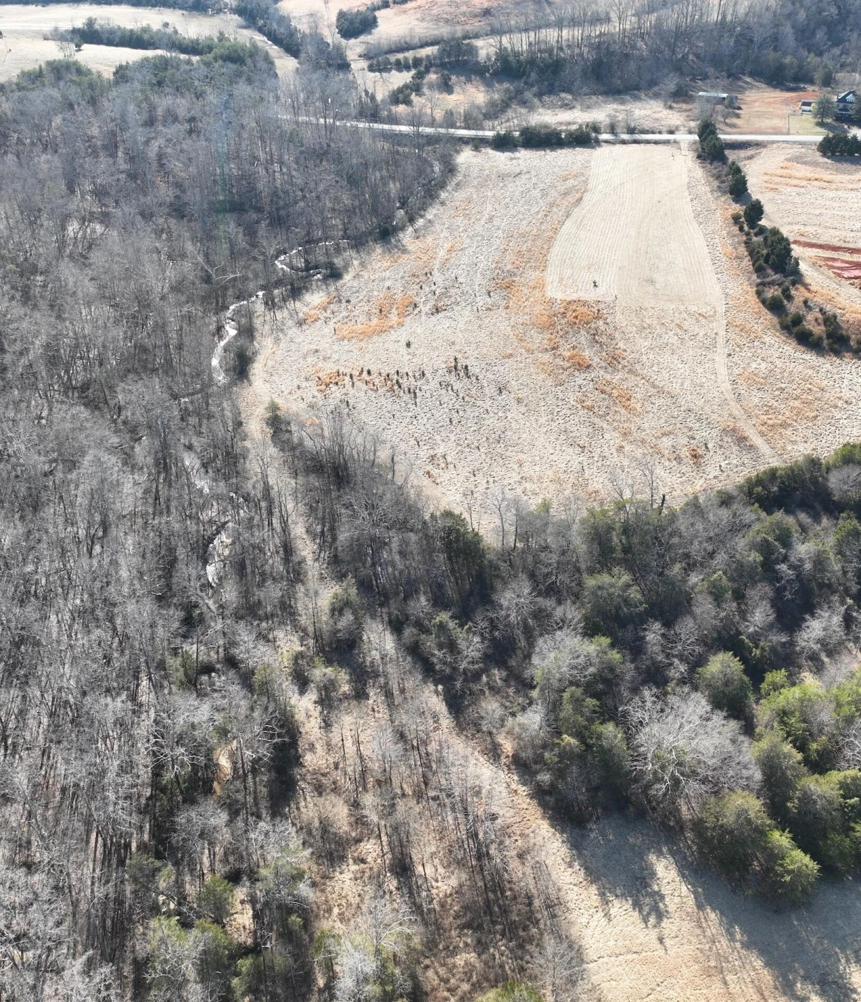 0 White House RD - Photo 3